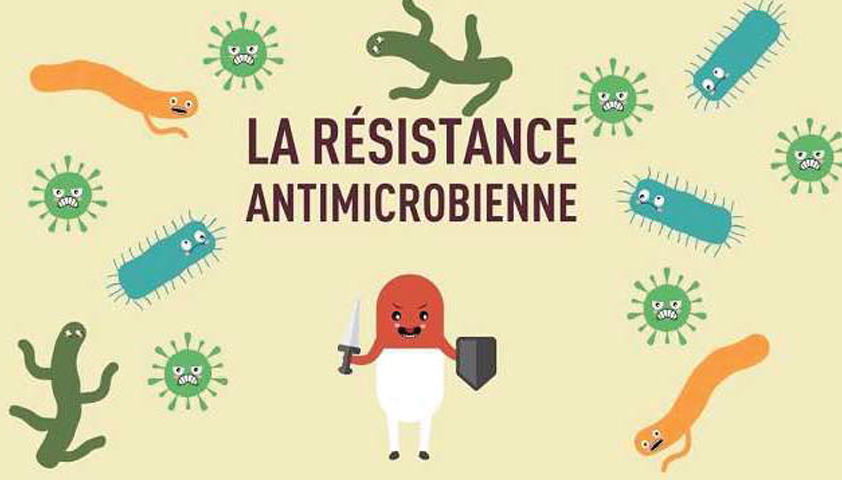 Lutter contre la résistance aux antimicrobiens