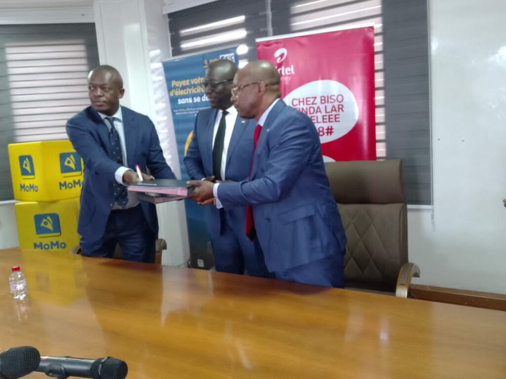 Etablissement professionnel de paiement