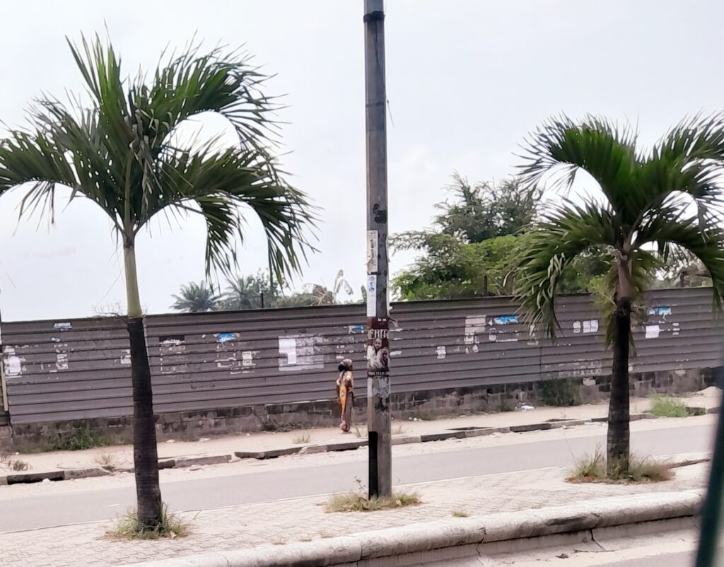 un exemple des biens publics