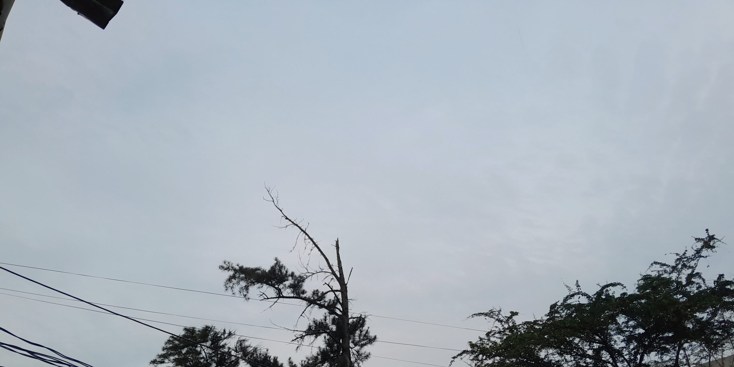 Les congolais impatients à l'émergence de leur pays