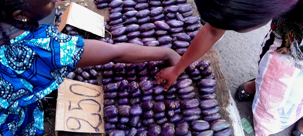 Pour le président du sénat et président de l’Alliance parlementaire congolaise pour la sécurité alimentaire et sécuritaire, Pierre Ngolo, les travaux ont été d’une richesse exceptionnelle et empreints d’une énergie collective, avant d’évoquer la nécessité d’impliquer la jeunesse au cœur de la politique publique, non comme des bénéficiaires passifs mais acteurs incontournables du changement.