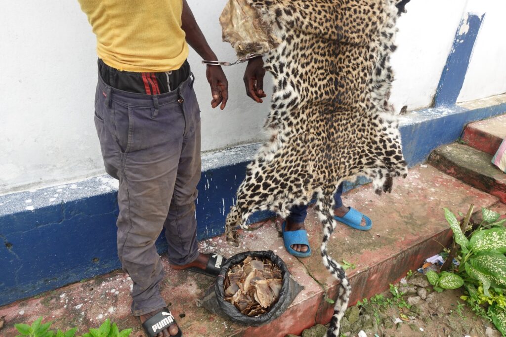 Par conséquent, tout contrevenant à la loi est exposé aux sanctions.