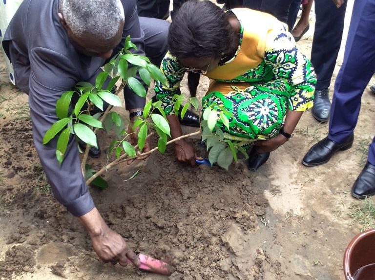 La République du Congo se positionne désormais comme un acteur clé dans le domaine du boisement et du reboisement, grâce à sa stratégie nationale ambitieuse visant à protéger ses forêts.