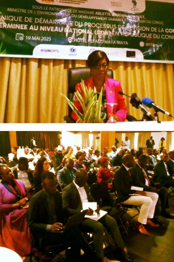 La Cdn pour le changement climatique