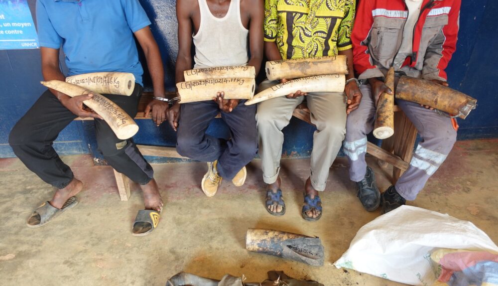 Les deux individus avaient été présentés, le 03 août 2023 au procureur de la République, près le tribunal de Grande Instance de Brazzaville. Plusieurs audiences portant sur cette affaire se sont tenues à Brazzaville et la dernière a eu lieu le 10 avril 2025, à l’issue de laquelle le délibéré avait été programmé pour le 19 juin 2025.