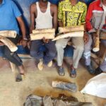Les deux individus avaient été présentés, le 03 août 2023 au procureur de la République, près le tribunal de Grande Instance de Brazzaville. Plusieurs audiences portant sur cette affaire se sont tenues à Brazzaville et la dernière a eu lieu le 10 avril 2025, à l’issue de laquelle le délibéré avait été programmé pour le 19 juin 2025.