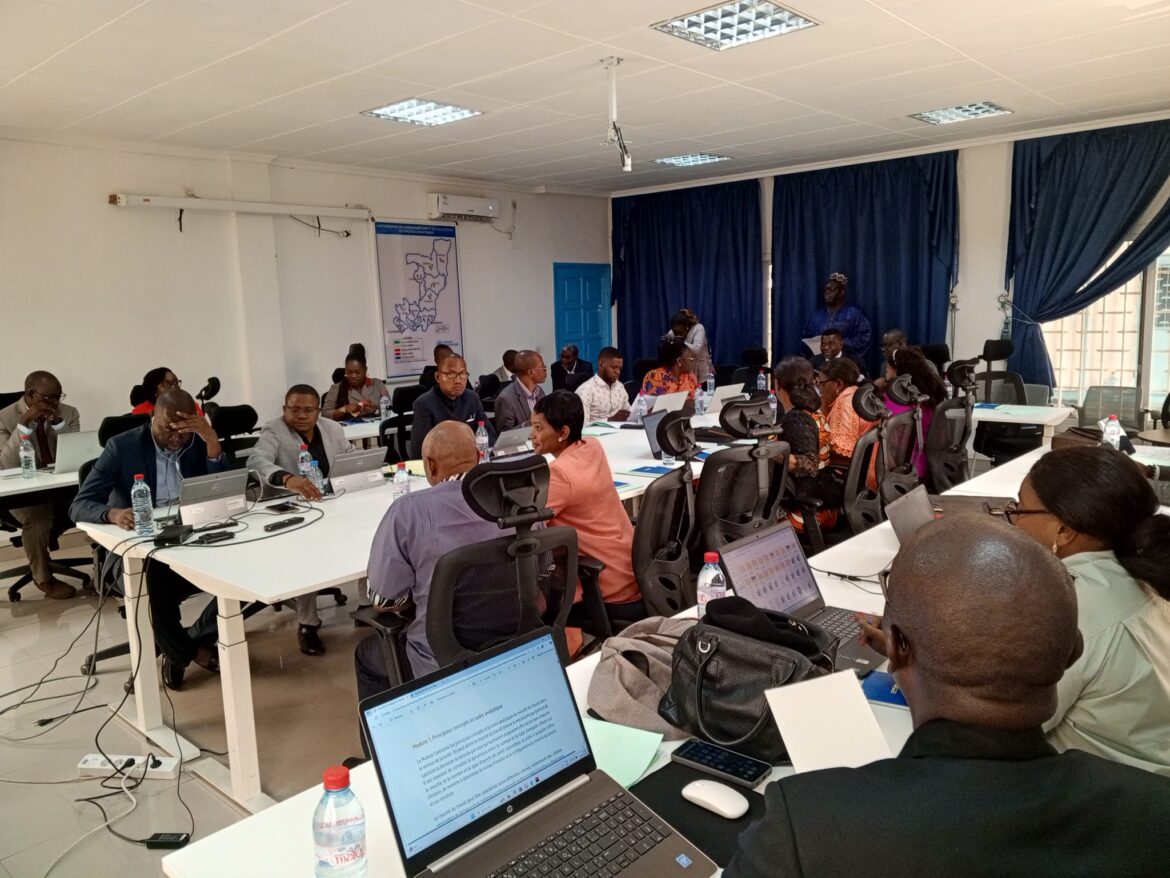Des discussions approfondies pour améliorer la santé des congolais
