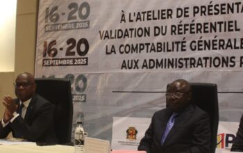La réforme implique la consultation des parties prenantes, la recherche ainsi que la publication de documents de référence sur les bonnes pratiques comptables, telles que les normes, le cadre conceptuel, le lien entre les trois comptabilités : nationale, budgétaire et générale, pour mieux faciliter les échanges.