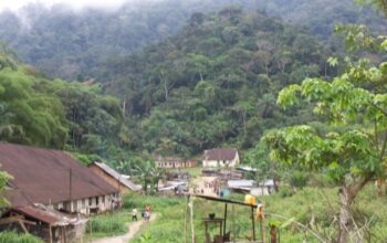 Quinzaine du gouvernement