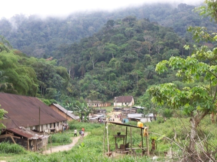 Justice climatique : le Congo se prépare pour la Cop 30