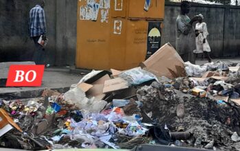 La politique d’assainissement repose sur cinq axes principaux, liés au renforcement de la gouvernance environnementale, à la promotion de l’économie circulaire par la réduction de l’utilisation du plastique, son réemploi et son recyclage pour transformer les déchets en opportunités de création d’emplois verts, au développement de l’éducation et de la sensibilisation pour ancrer une véritable culture environnementale dans les communautés.