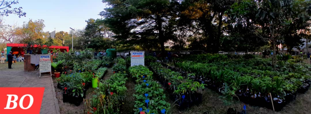 9e Foire aux plants : le premier ministre donne le coup d’envoi