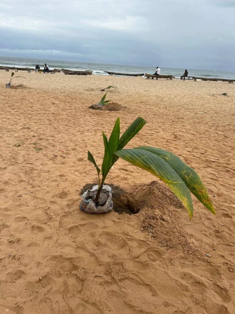 L’opération du planting d'arbres a été organisée sur la grande avenue de l’hôpital général d’Ouesso, dans le département de la Sangha.