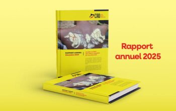 Pour redorer l’image du pays, envers les partenaires bilatéraux et multilatéraux, quelques recommandations ont été formulées. Il s’agit de renforcer l’État de droit et mettre fin à l’impunité, aux institutions judiciaires de garantir des enquêtes indépendantes, aux partenaires internationaux, de soutenir les réformes et les formations, et à la société civile, de poursuivre la documentation, le plaidoyer et l’accompagnement des victimes ».