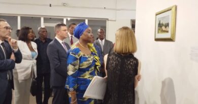 Elles révèlent la riche productive et diversifiée tant dans les styles en allant du réalisme au fantastique que dans les thématiques abordées, afin d'inviter le public à redécouvrir la facette méconnue de l'École de peinture de Poto-poto.