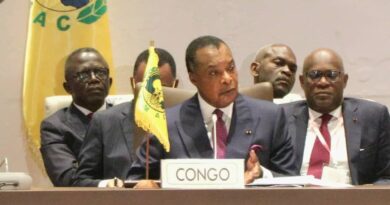 La décision de convoquer ce sommet extraordinaire des chefs d'État de la Cemac a été prise, selon Sassou N’Guesso dans le but de trouver des solutions appropriées à la situation économique, monétaire et financière que travaillent les ministres de l'État et de la Banque africaine de développement, que traverse notre sous-région.