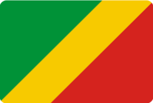 Le Parti congolais du travail (Pct) domine la vie politique nationale depuis plus de 45 ans. Face à son candidat, six prétendants, dont deux habitués et quatre nouveaux venus tentent leur chance. Mais qui sont-ils ?