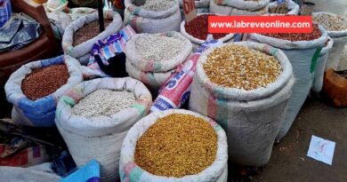 Quelques cultures qui appartiennent à la famille des légumineuses Le haricot, le pois chiches et les pois, (le cao), sont des aliments nutritifs tant pour les humains que pour l’environnement. En ce qui concerne les sols, les légumineuses jouent un rôle en leur fournissant des nutriments essentiels, en maintenant leur biodiversité et en améliorant leur structure.