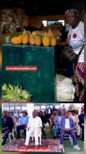 Le gouvernement est déterminé à transformer le secteur agricole pour en faire un moteur de croissance, diversifier l’économie et assurer la sécurité alimentaire. Cette stratégie repose sur la mécanisation et sur l’utilisation des produits alimentés dans les zones agricoles protégées.