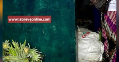 Le gouvernement est déterminé à transformer le secteur agricole pour en faire un moteur de croissance, diversifier l’économie et assurer la sécurité alimentaire. Cette stratégie repose sur la mécanisation et sur l’utilisation des produits alimentés dans les zones agricoles protégées.