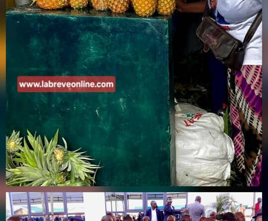 Le gouvernement est déterminé à transformer le secteur agricole pour en faire un moteur de croissance, diversifier l’économie et assurer la sécurité alimentaire. Cette stratégie repose sur la mécanisation et sur l’utilisation des produits alimentés dans les zones agricoles protégées.