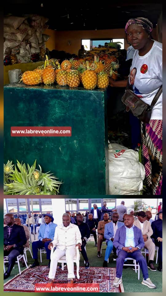 Le gouvernement est déterminé à transformer le secteur agricole pour en faire un moteur de croissance, diversifier l’économie et assurer la sécurité alimentaire. Cette stratégie repose sur la mécanisation et sur l’utilisation des produits alimentés dans les zones agricoles protégées.