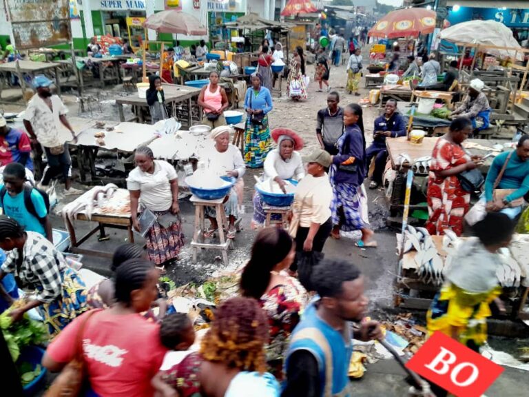 Beaucoup de citoyens s’interrogent sur la nécessité pour Denis Sassou N’Guesso de battre campagne, alors qu’il est déjà au pouvoir et n’entend pas laisser le fauteuil présidentiel à un autre. Pour certains, il aurait été plus souhaitable d’utiliser les moyens investis dans la campagne pour améliorer les conditions de vie des congolais.