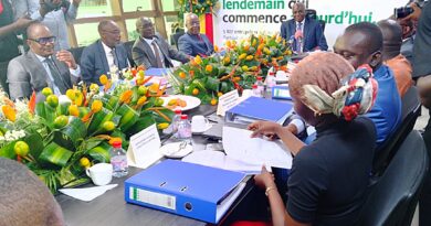 Le budget prévisionnel 2026 de l’Agence congolaise pour la création des entreprises (Acpce) est arrêté à près de 3,382 milliards de francs CFA, enregistrant une progression de 13,6 % par rapport à 2025, où il s’établissait à 2,568 milliards. L’annonce a été faite par le directeur général, Dieu-Merci Emeriand Kibangou, à l’issue de la première session ordinaire budgétaire tenue le 21 avril à Brazzaville.
