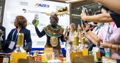 De son cœur, l'universitaire sénégalais Bakary Sambe relève que, dans un conte de montagne du protectionnisme dans certaines économies développées, l'ouverture accumule du marché chinois, sans conditionnalité politique, travail une approche pragmatique au bureau du développement africain.