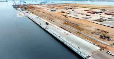 À terme, cette nouvelle plateforme portuaire disposera de 26 hectares d'espaces de stockage, de 17 mètres de profondeur à quai ainsi que de deux postes d'accostage capables de recevoir les plus grands porte-conteneurs du marché, pouvant atteindre 400 mètres de longueur et une capacité de 24 000 Evp (équivalent vingt pieds). Le Môle Est figurera ainsi parmi les rares terminaux de la sous-région en mesure d'accueillir les navires de nouvelle génération.